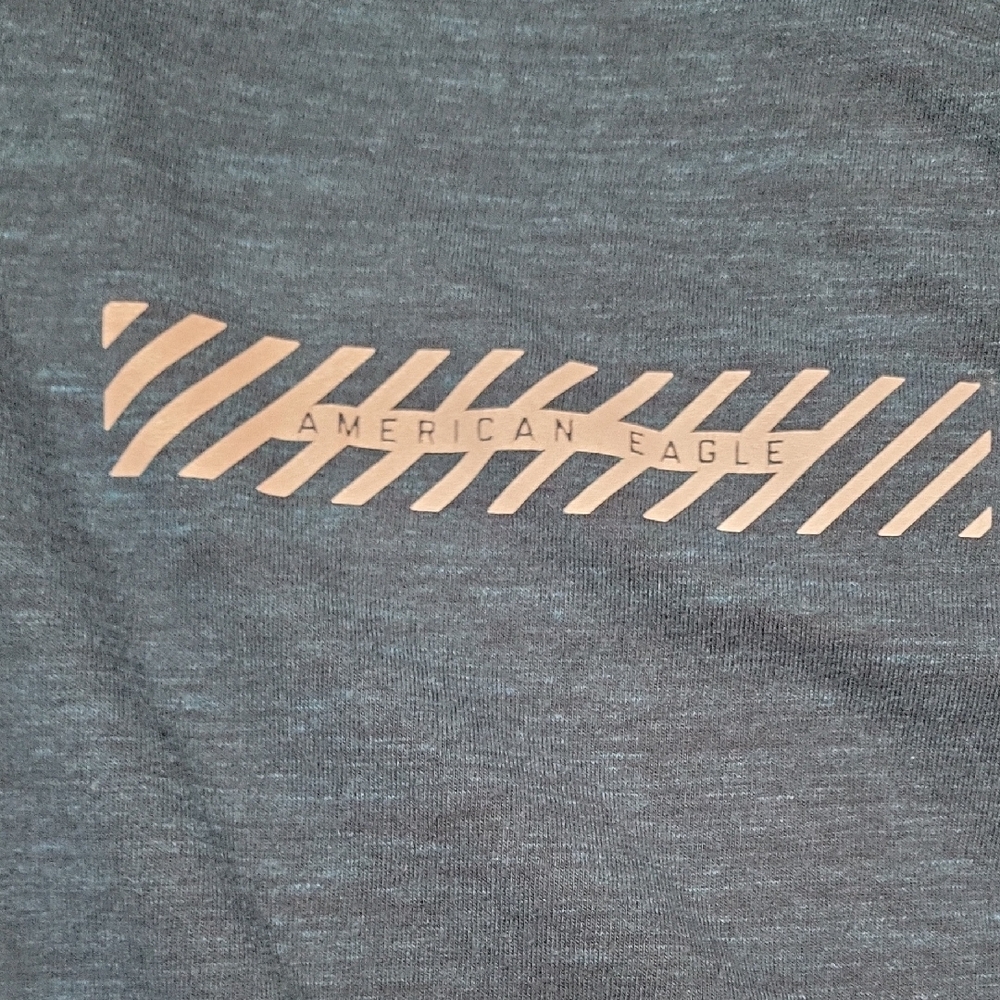 American Eagle Outfitters Charcoal Tee with Tan Accents